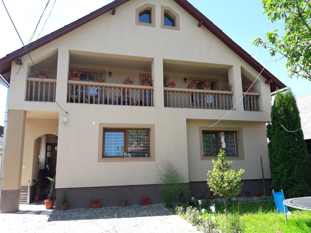 Pensiunea Todorica Sergiu Sieu  Ngoại thất bức ảnh